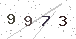CAPTCHA, a type of challenge-response test (computing)