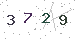 CAPTCHA, a type of challenge-response test (computing)