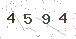 验证码
