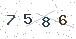 验证码