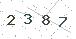 验证码